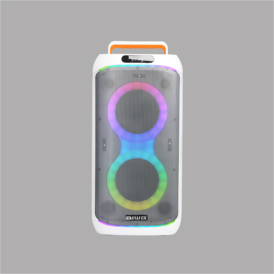 AW-X1653DSP | معرفی اسپیکر شارژی آیوا